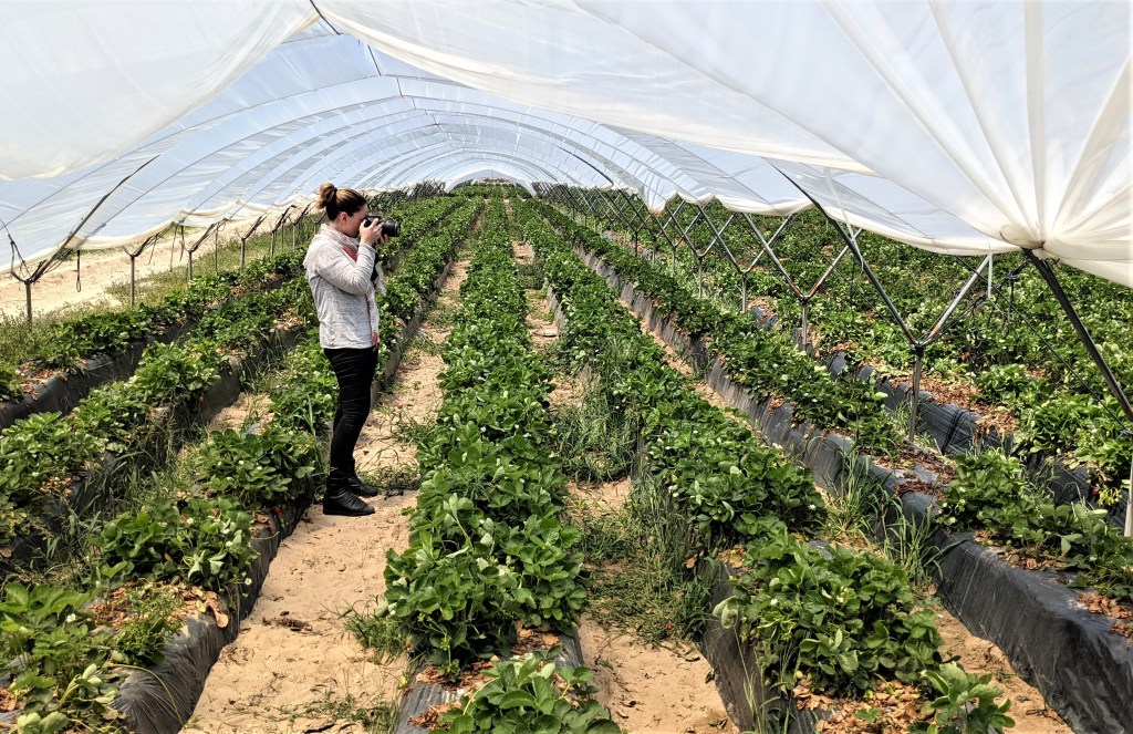 Come diventare: giornalista&nbsp;d’inchiesta